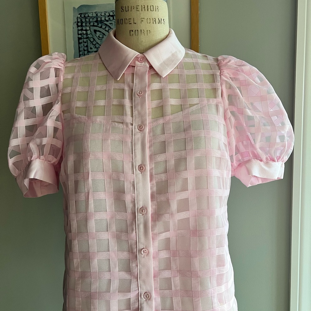 English Factory Pink Sheer Grid Button-Down Blouse - Picture 10 of 16